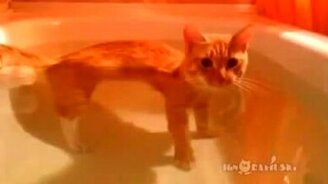 На перископной глубине - смотреть видео (1:56)