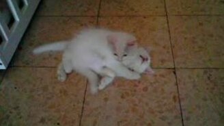 Ты не разбудишь меня! - смотреть видео (0:57)