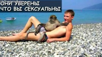 Весёло о людях и животных - смотреть видео (1:15)