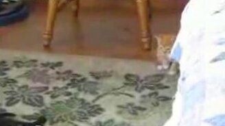 Пугающий ковёр - смотреть видео (0:51)