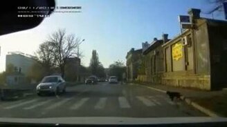 Самый правильный пешеход - смотреть видео (0:25)