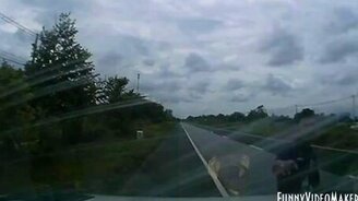 Быстрая реакция - залог успеха водителя - смотреть видео (1:00)