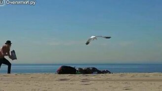 Розыгрыш с чайками и поп-корном - смотреть видео (1:35)