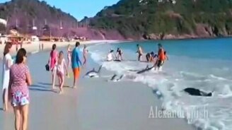 В доказательство людской доброты - смотреть видео (4:19)