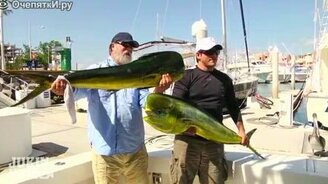 Украл у рыбака трофей - смотреть видео (0:32)