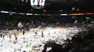 Закидали игрушками - смотреть видео (0:31)