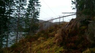 Норвежский способ уничтожить дерево - смотреть видео (0:41)