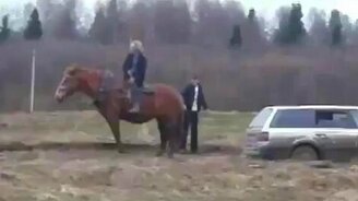 Конь-тягач - смотреть видео (1:33)