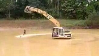 На лыжах по грязи - смотреть видео (2:47)