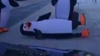 Реальный подниматель пингвинов - смотреть видео (0:57)