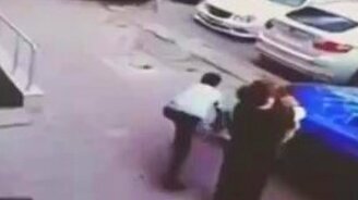 Кот атакует пса - смотреть видео (0:15)