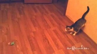 Оригинальная точка опоры - смотреть видео (0:34)