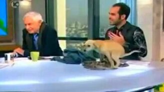 Накакал в эфире - смотреть видео (0:35)