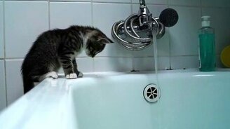 И всё-таки он намок! - смотреть видео (1:30)