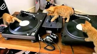 Три маленьких диджея - смотреть видео (0:33)