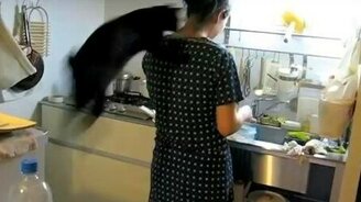 Раз - попытка, два - попытка - смотреть видео (0:12)