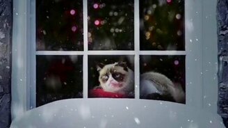 Рождественские кошки - смотреть видео (3:20)