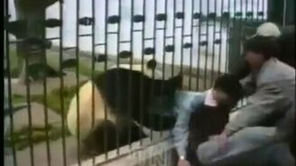 Животные против людей - смотреть видео (5:45)