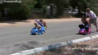 Красота жизни животных - смотреть видео (5:18)