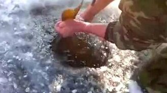 Рыбалка зубами - смотреть видео (0:48)