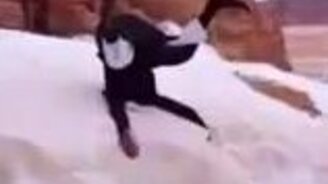 Первый снег в жизни - смотреть видео (0:06)