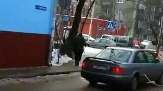 Девушка на дереве - смотреть видео (0:13)