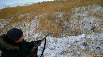 Спасение собаки после охоты - смотреть видео (4:12)