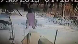 Мстительный котяра - смотреть видео (0:48)