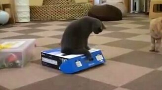 Принижай и властвуй! - смотреть видео (1:30)