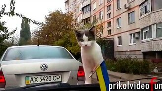 Нарезка хороших приколов - смотреть видео (2:40)