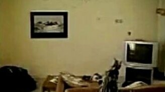 Кот и вентилятор - смотреть видео (0:16)