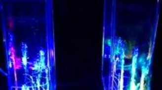 Живые музыкальные колонки - смотреть видео (3:59)