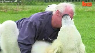 Дружба мужика и белого медведя - смотреть видео (2:08)