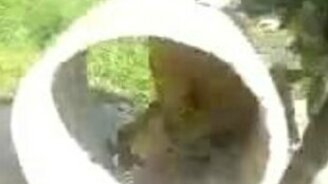 Прокатился в бетонном кольце - смотреть видео (0:43)