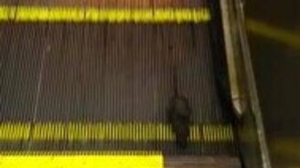 Крыса против эскалатора - смотреть видео (1:08)