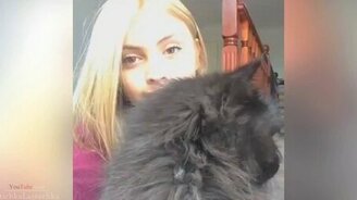 Короткие ролики с кошками - смотреть видео (4:07)