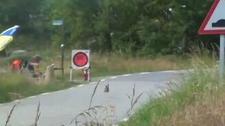 Неожиданный участник ралли - смотреть видео (0:17)