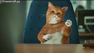 Кот выбирает тачку - смотреть видео (1:43)