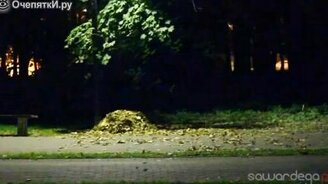 Страшный выскочка - смотреть видео (1:39)