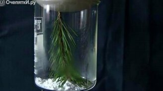 Зима в стакане - смотреть видео (2:04)