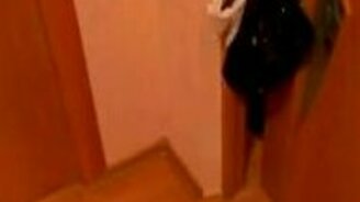 Кот хочет подружиться - смотреть видео (2:06)