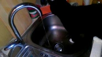 Кот и струя воды - смотреть видео (1:07)