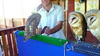 Реакция сов на сотовый телефон - смотреть видео (1:05)