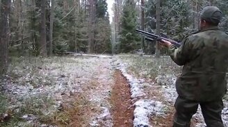 Горе-охотник и кабаны - смотреть видео (1:05)