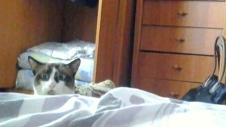 За тобой следят... - смотреть видео (1:00)