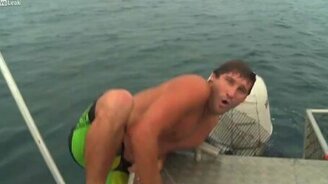 Подкралась акула незаметно... - смотреть видео (0:19)