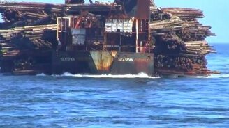 Баржа с лесом - смотреть видео (2:16)