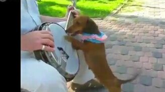 Нарезка смешного и интересного - смотреть видео (10:28)