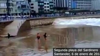 Не шути с природой! - смотреть видео (0:42)