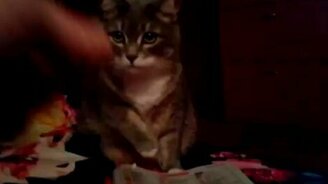 Кушай, Кузьма! - смотреть видео (1:46)